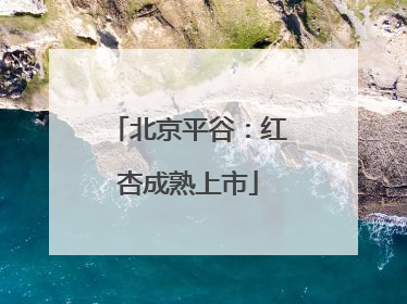 北京平谷：红杏成熟上市